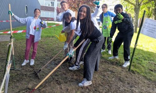 Un vent de nature au collège : les 6èmes créent une prairie fleurie !